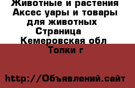 Животные и растения Аксесcуары и товары для животных - Страница 2 . Кемеровская обл.,Топки г.